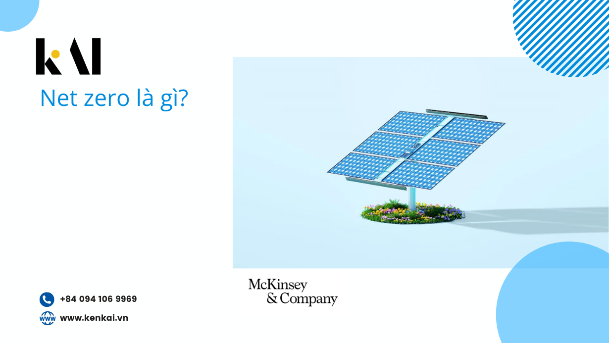 Net zero là gì?