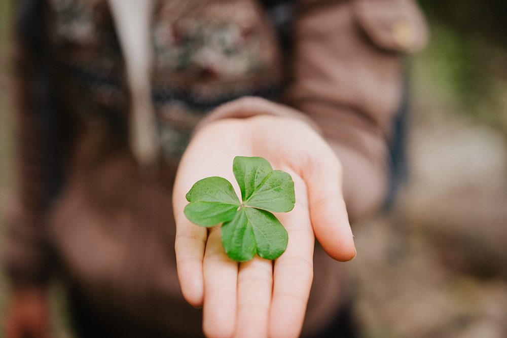 Bàn tay mở ra, nâng niu cỏ ba lá xanh tươi - biểu tượng của may mắn và hy vọng. Hình ảnh gợi lên cảm giác nắm bắt vận may trong tầm tay.